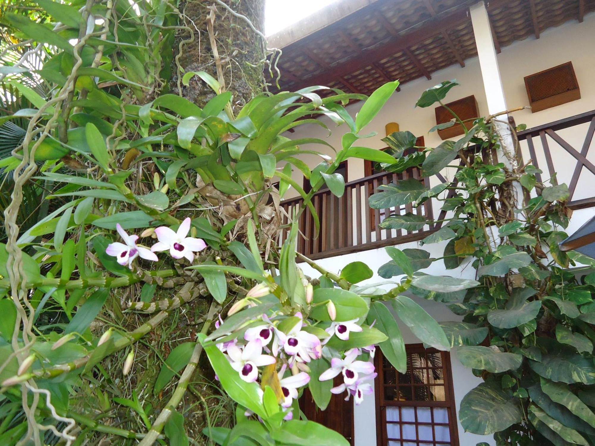 Pousada Laguna Blue Hotel Paraty Exterior foto